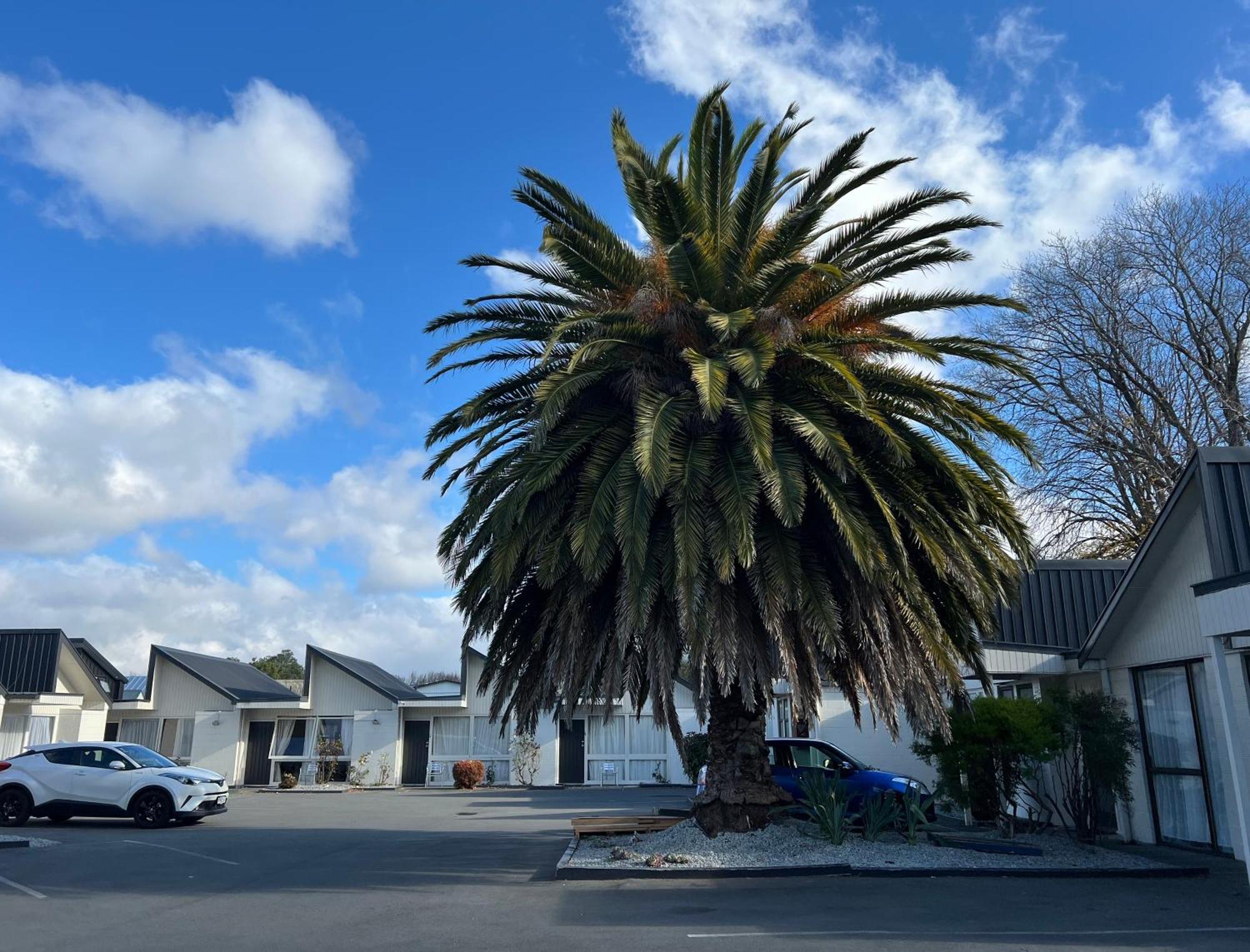 Diplomat Motel Christchurch Kültér fotó